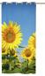 Preview: Ösenschal Sonnenblumen - Sommer Ösenvorhang